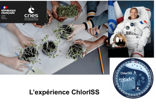 ChlorISS-1.png